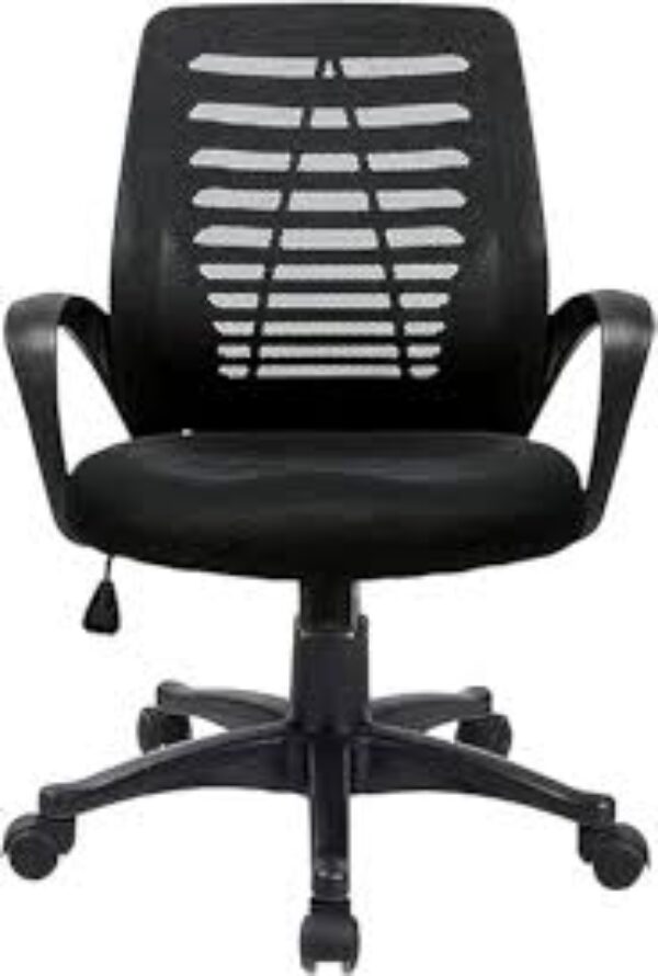 Ergonomic Home Office Chair