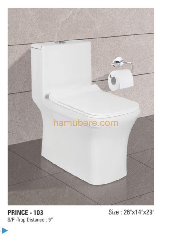 EWC toilet one piece