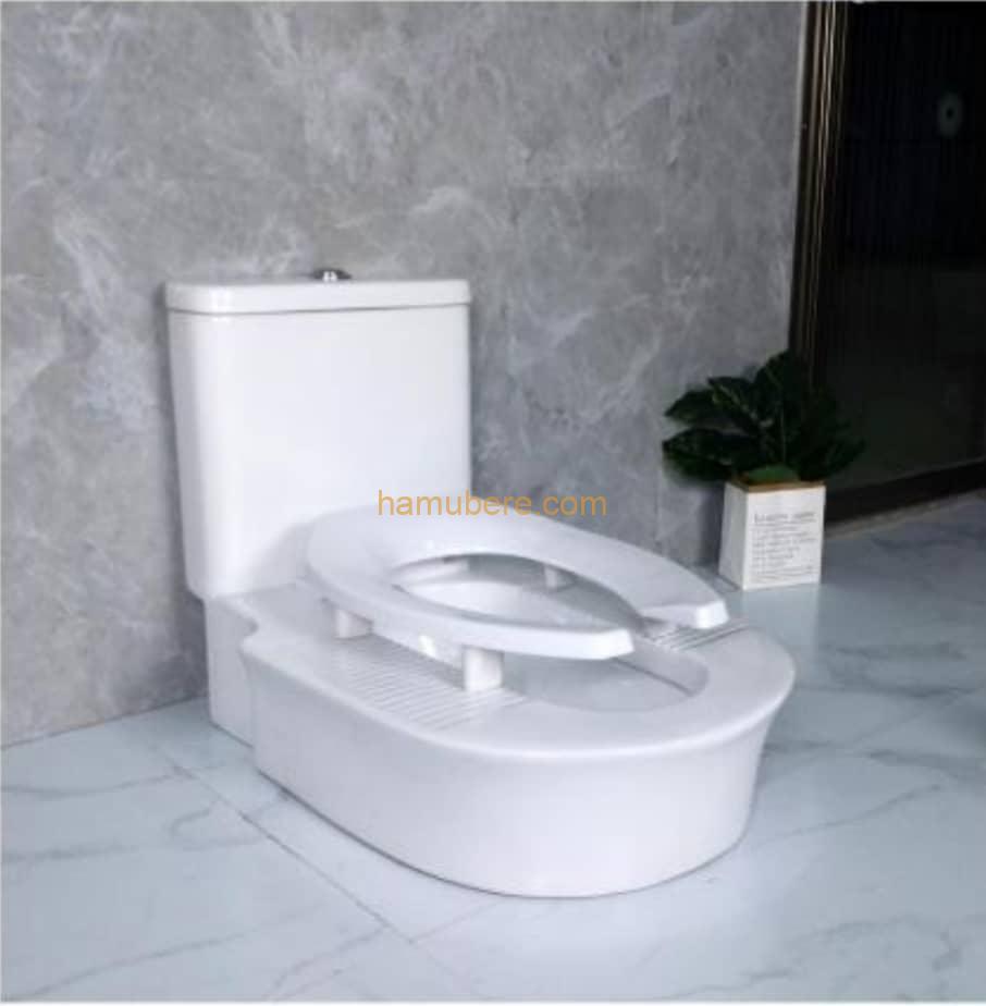 Dual squat toilet