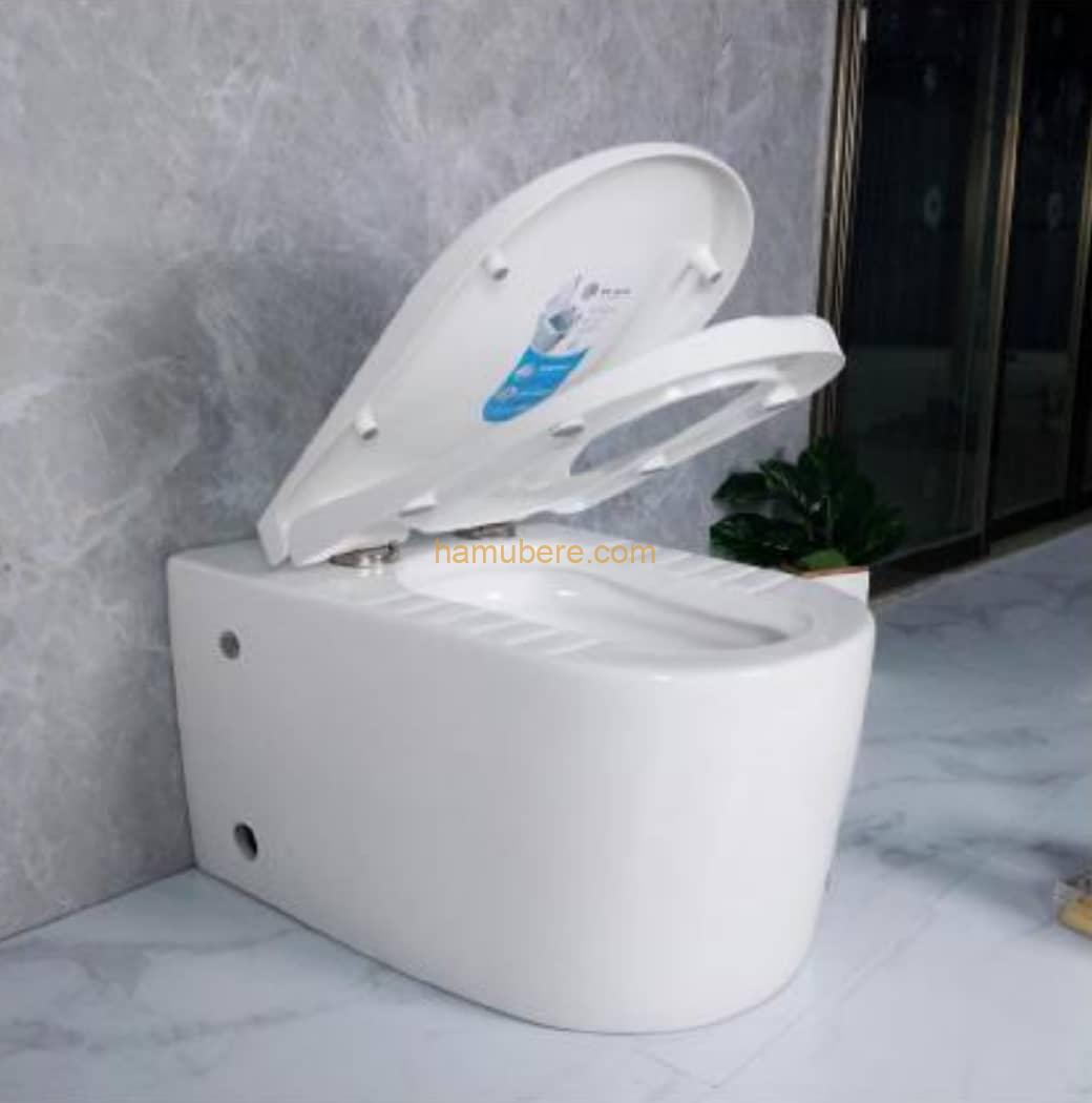 wall hang toilet