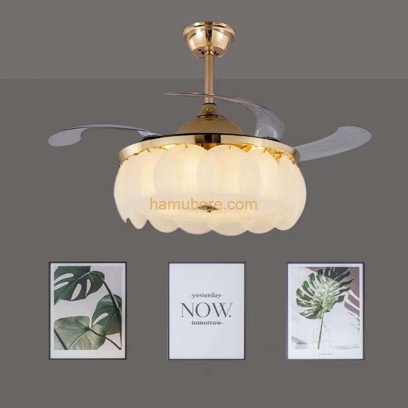 ED Clip Ceiling Light with Shell, Remote Control, Invisible, for Living Room and Bedroom