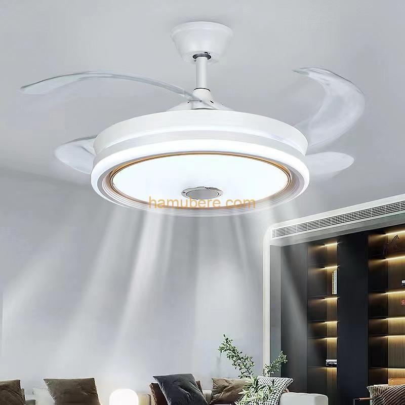 Ceiling fan chandelier combo lighting