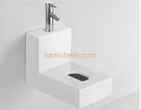 rectangular basin