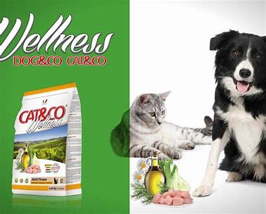 Pet Food – Adragna Dog&Co Adult Med/maxi Lamb12kgx1