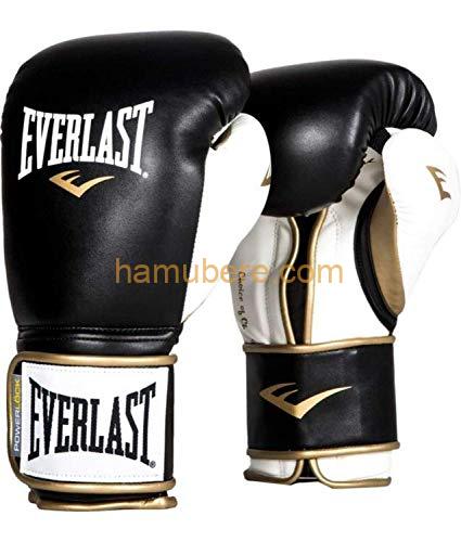 Everlast Boxing Gloves Powerlock