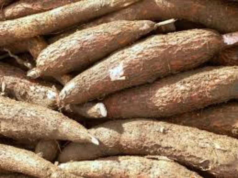 Gitaminsi Cassava