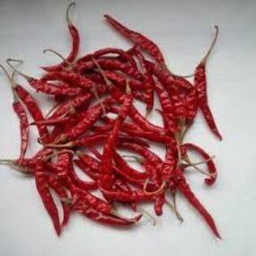Dried tija chili