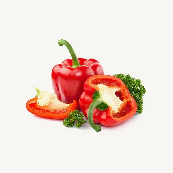 Capsicum