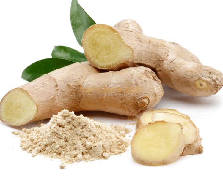 Green Ginger (Tangawizi)