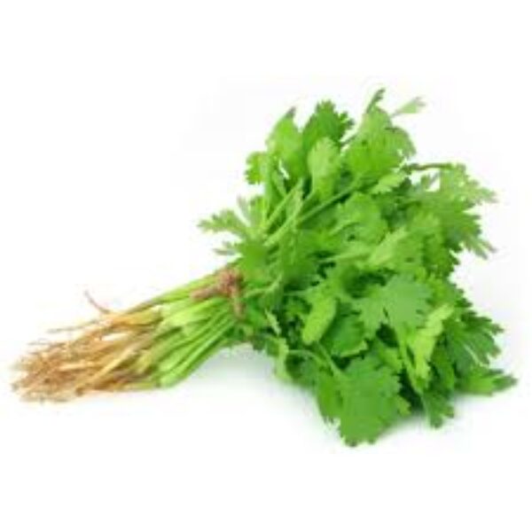 Coriander-Coriandre 1 bunch