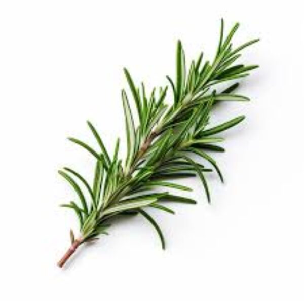 Fresh Rosemary/Bunch