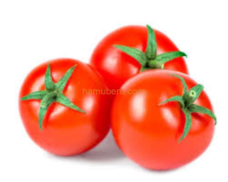 Tomatoes for salad