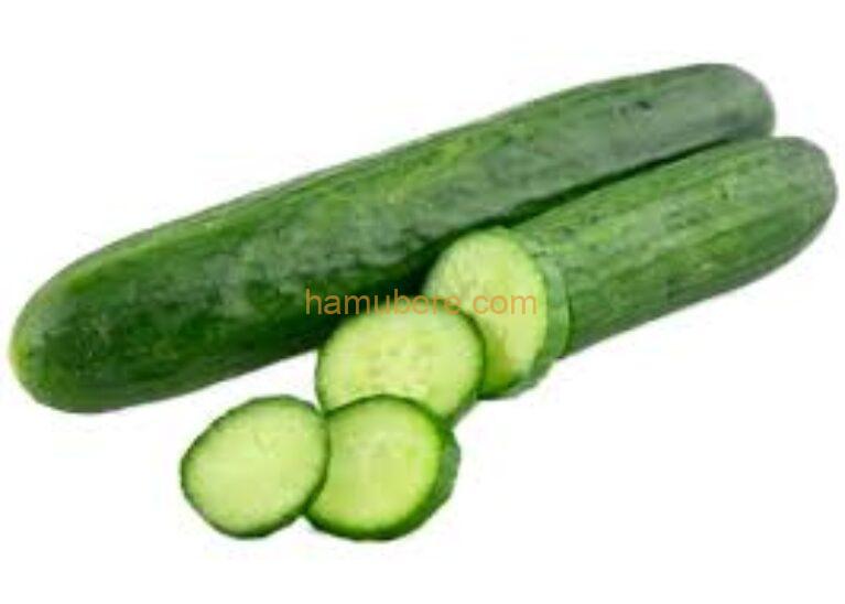 Fresh Cucumber /Piece