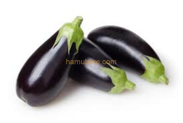 Black EggPlant-1pc