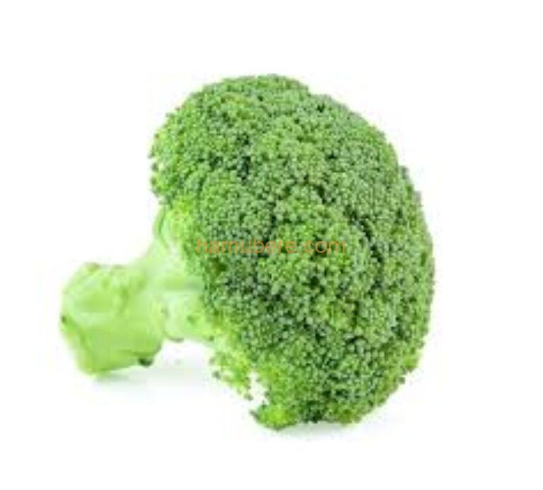 Green Broccoli /1piece