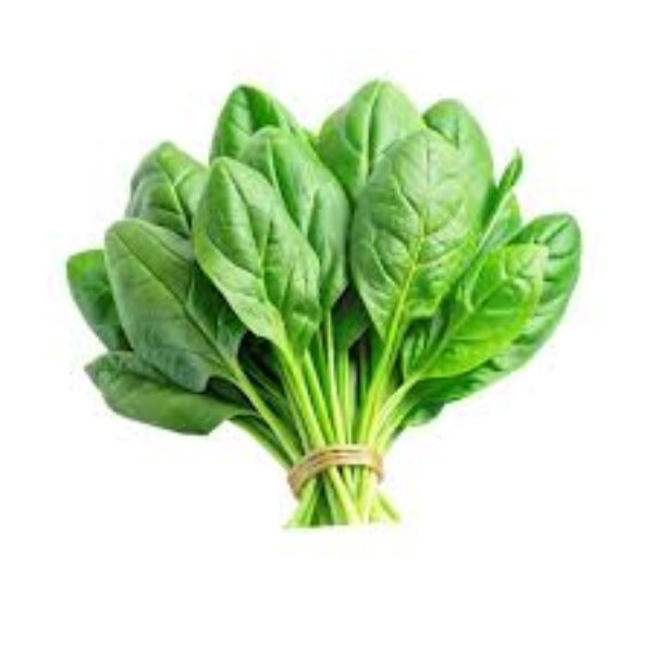 Fresh Spinach /Bunch