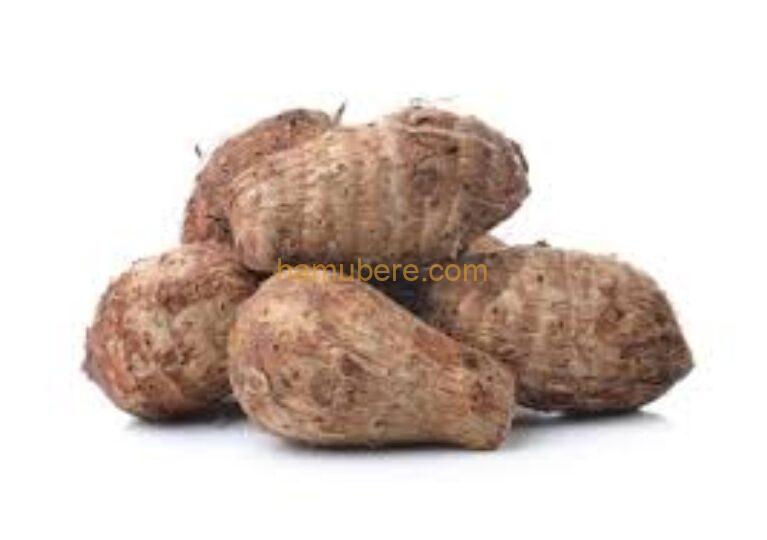 Fresh Yam /1Kg