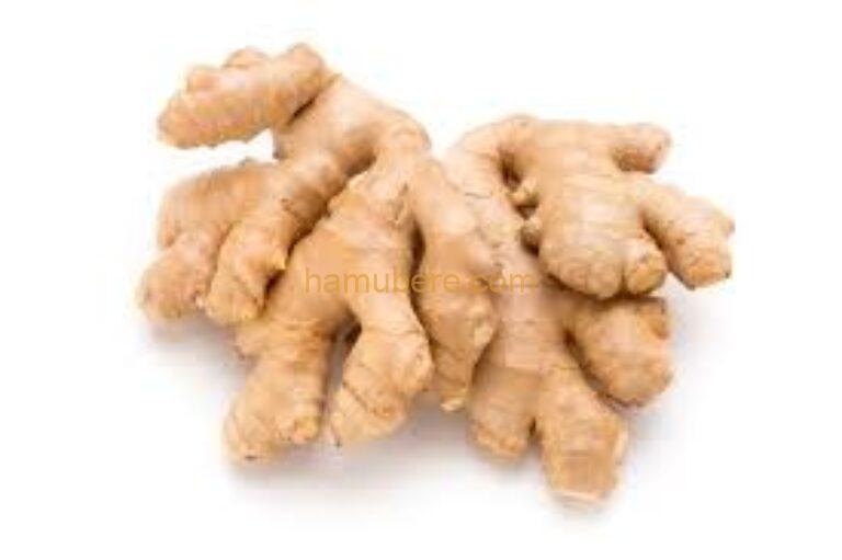 Fresh Ginger