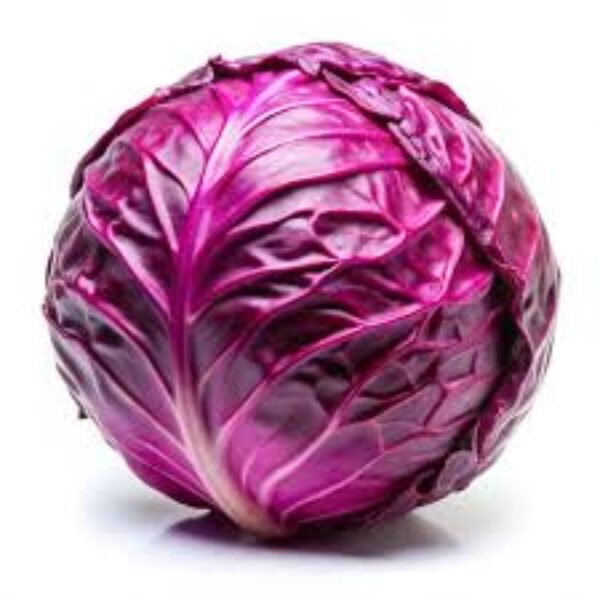 Red Cabbage /1pc