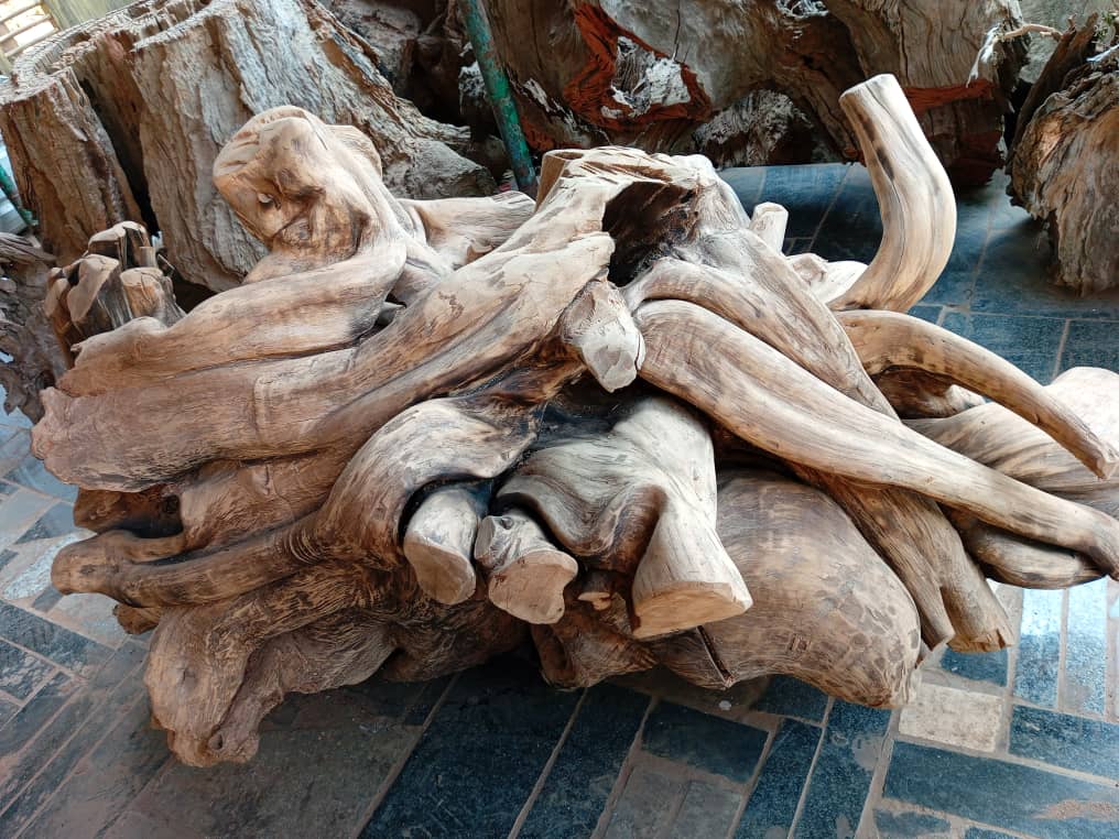 Urusobe rw’ubinyabuzima Igishushanyo gikozwe mugiti ni urusobe rw’utunyangingo dutandukanye