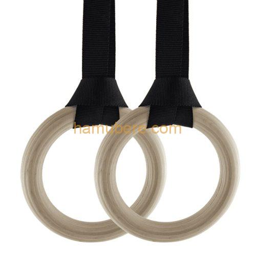 Gymnastic Rings