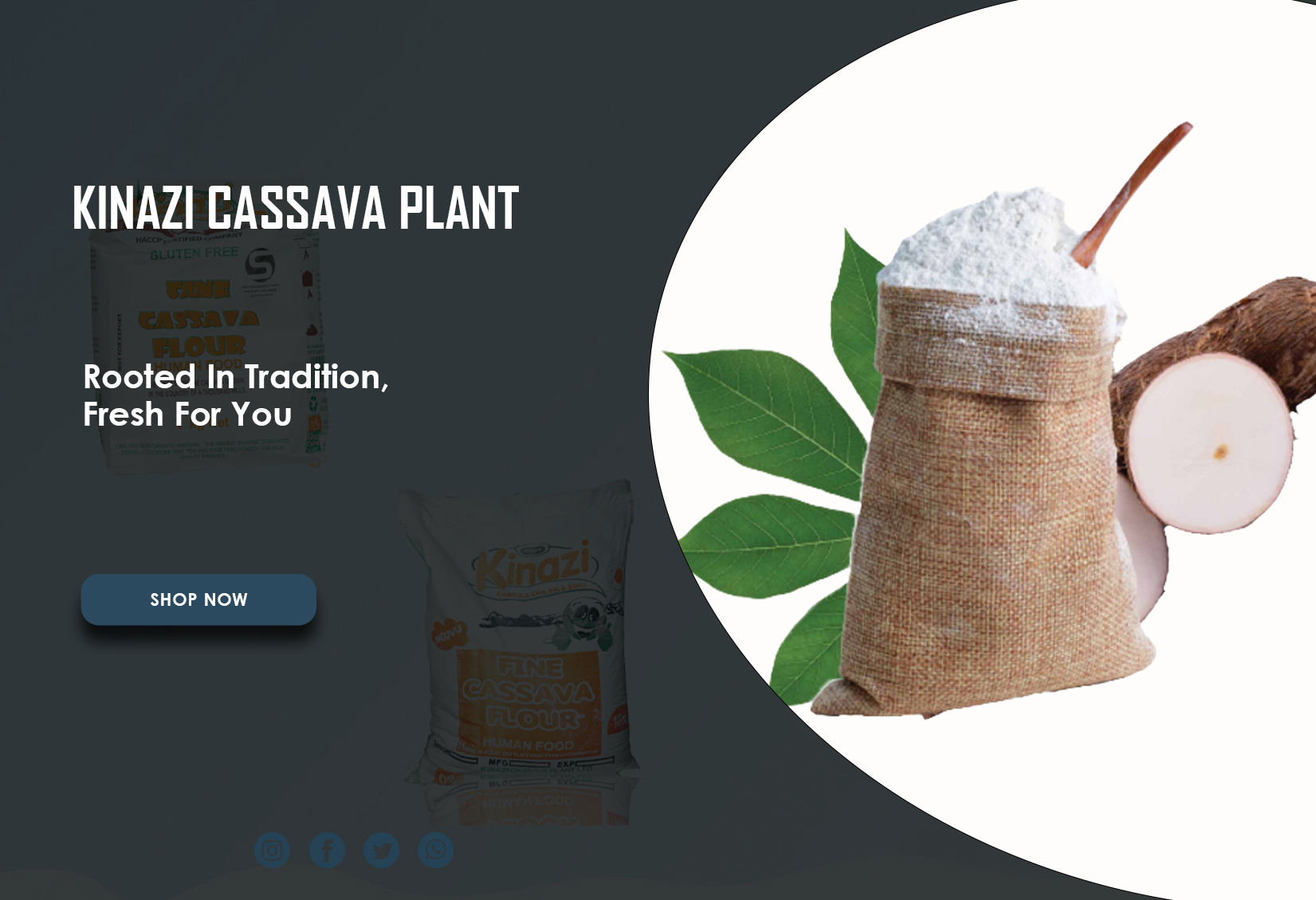 KINAZI CASSAVA PLANT